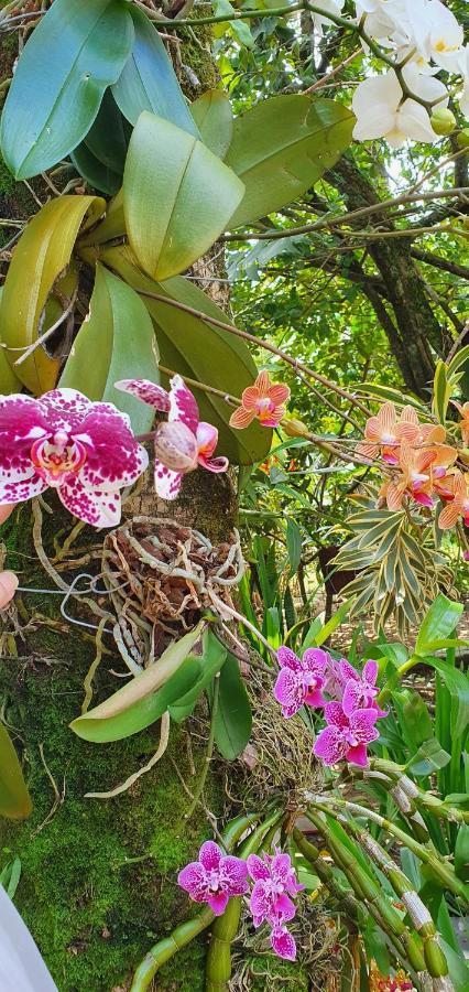 Suites No Paraiso Da Ilhabela Εξωτερικό φωτογραφία