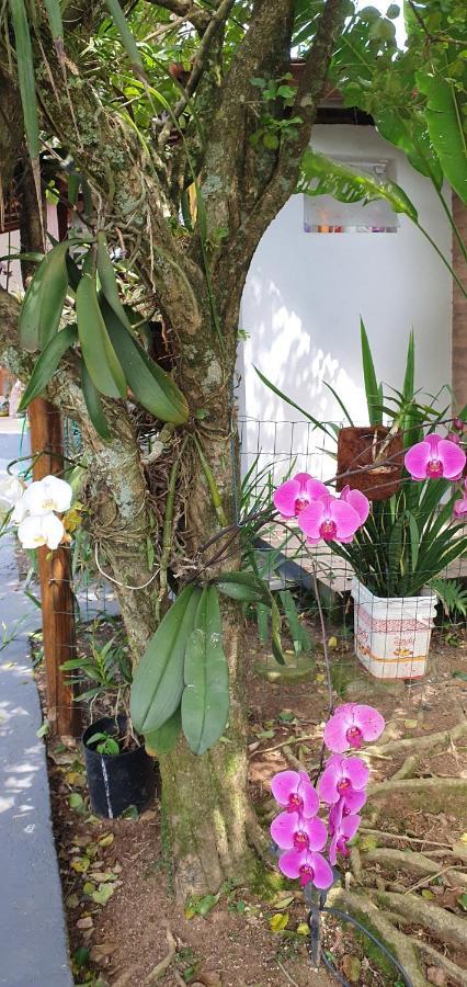 Suites No Paraiso Da Ilhabela Εξωτερικό φωτογραφία